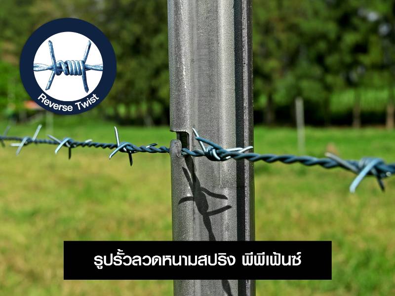 รั้วลวดหนามสปริง พีพีเฟ้นซ์