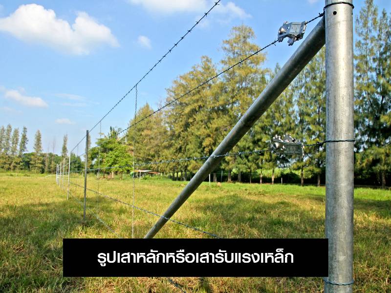 เสาหลักหรือเสารับแรงเหล็ก