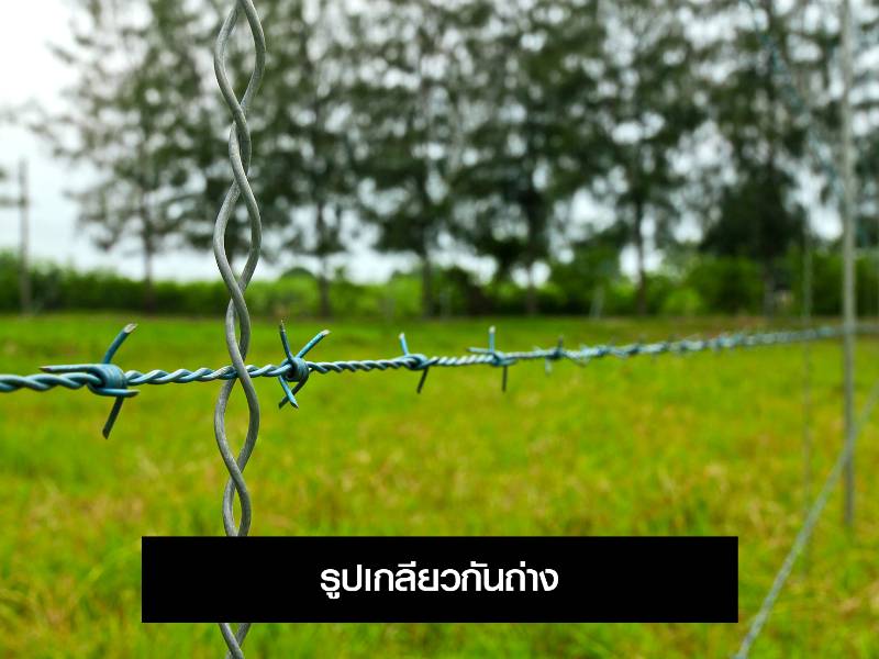 รูปเกลียวกันถ่าง