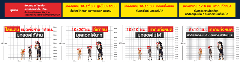 รั้วตาข่าย