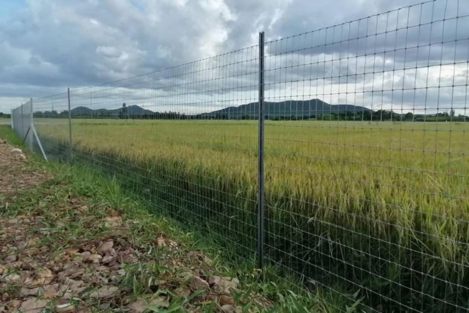 รั้วกันขโมย