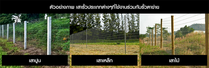 รั้วตาข่าย