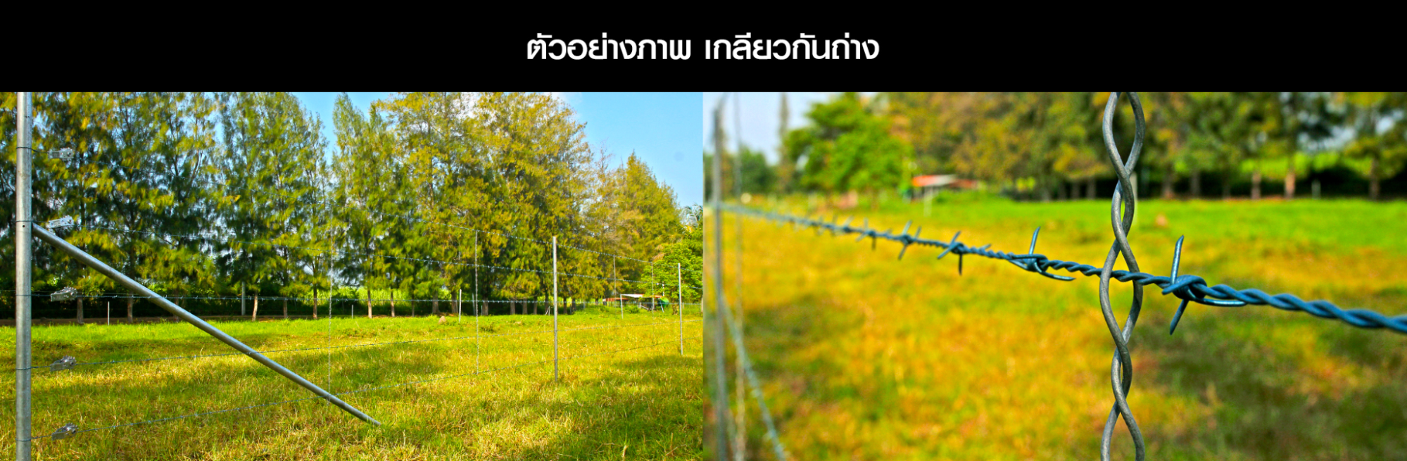 รั้วลวดหนามเกลียวกันถ่าง