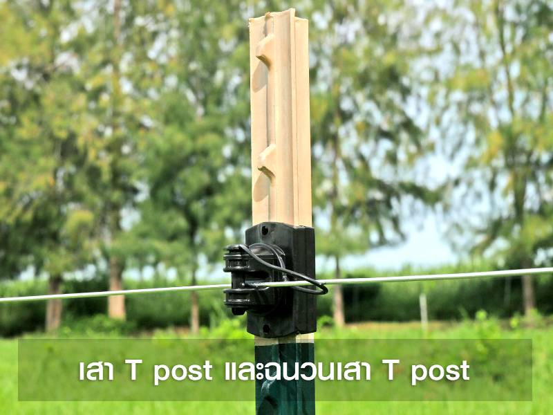 เสาเหล็ก