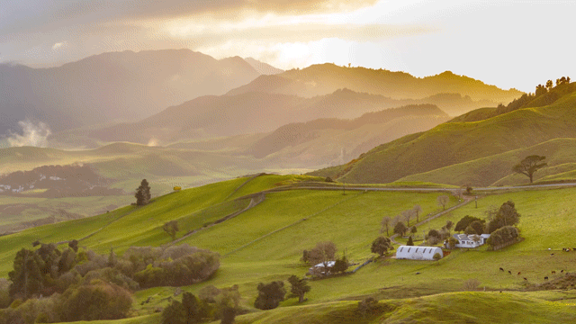 รั้วช้าง