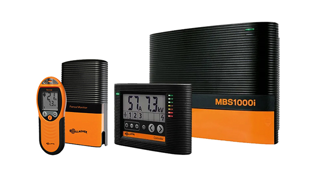 รั้วช้าง